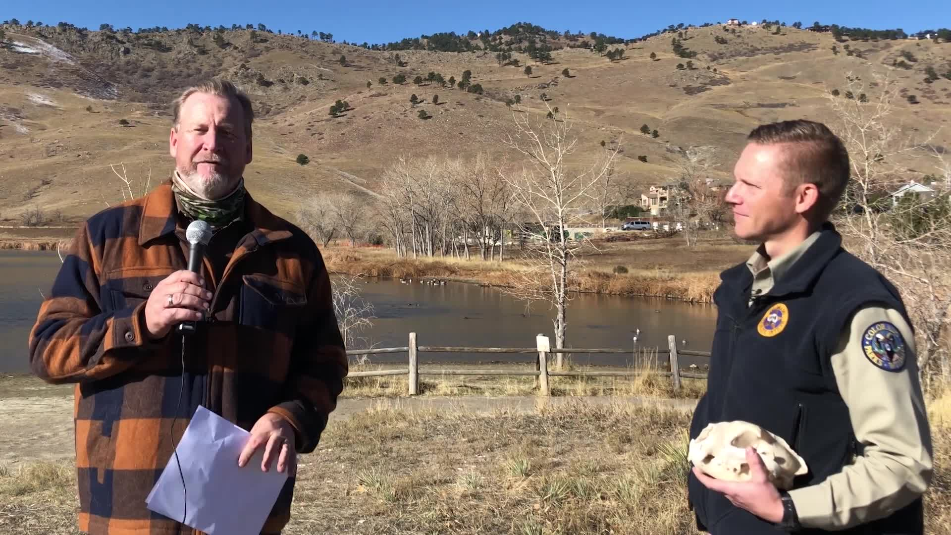 CPW Mountain Lions in Colorado Part 4  What to do if you encounter a mountain lion