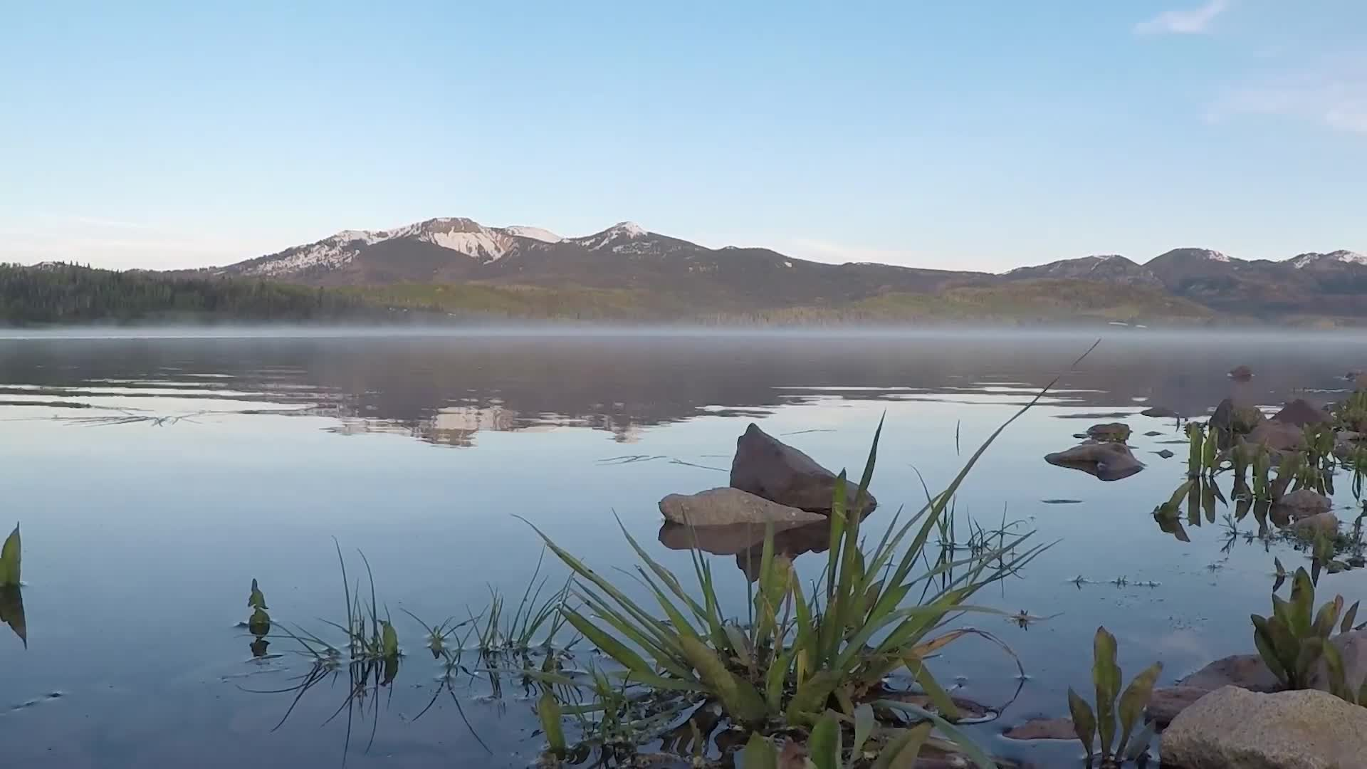 CPW-Wildlife at Steamboat Lake State Park
