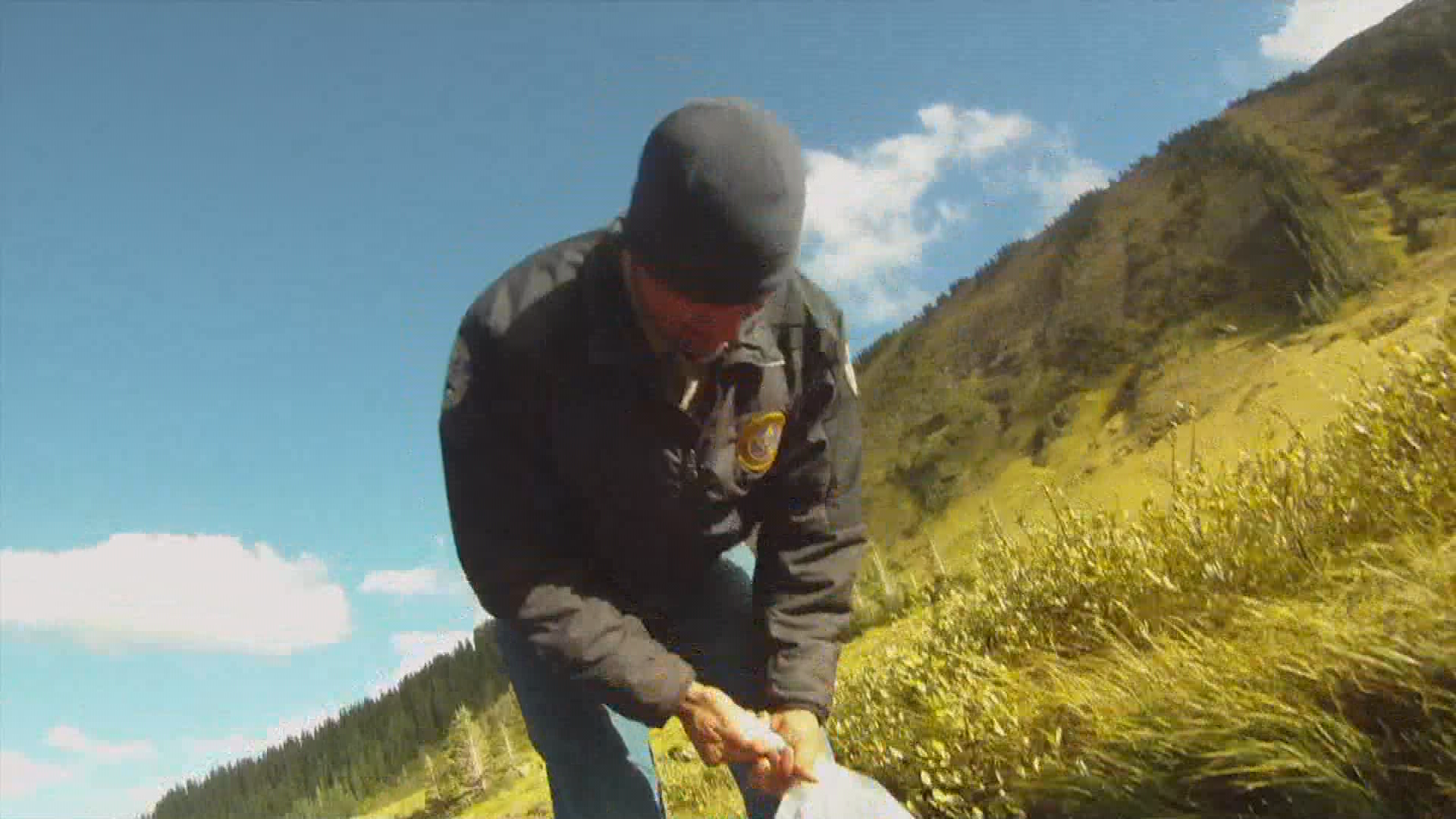Thumbnail image for Colorado Parks & Wildlife-Colorado's Fish Hatcheries (HD)