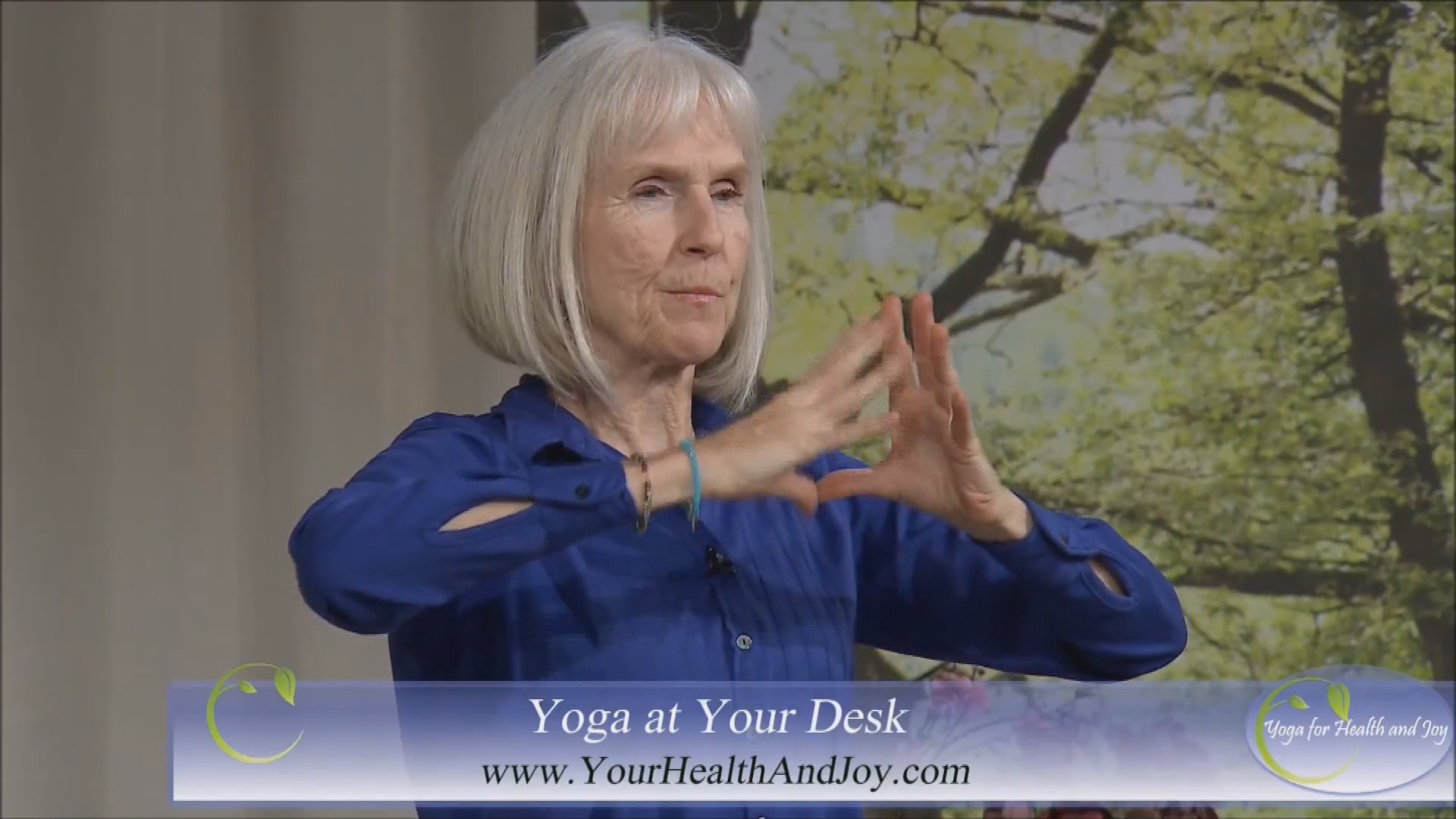 Yoga for Health & Joy-Yoga at your desk