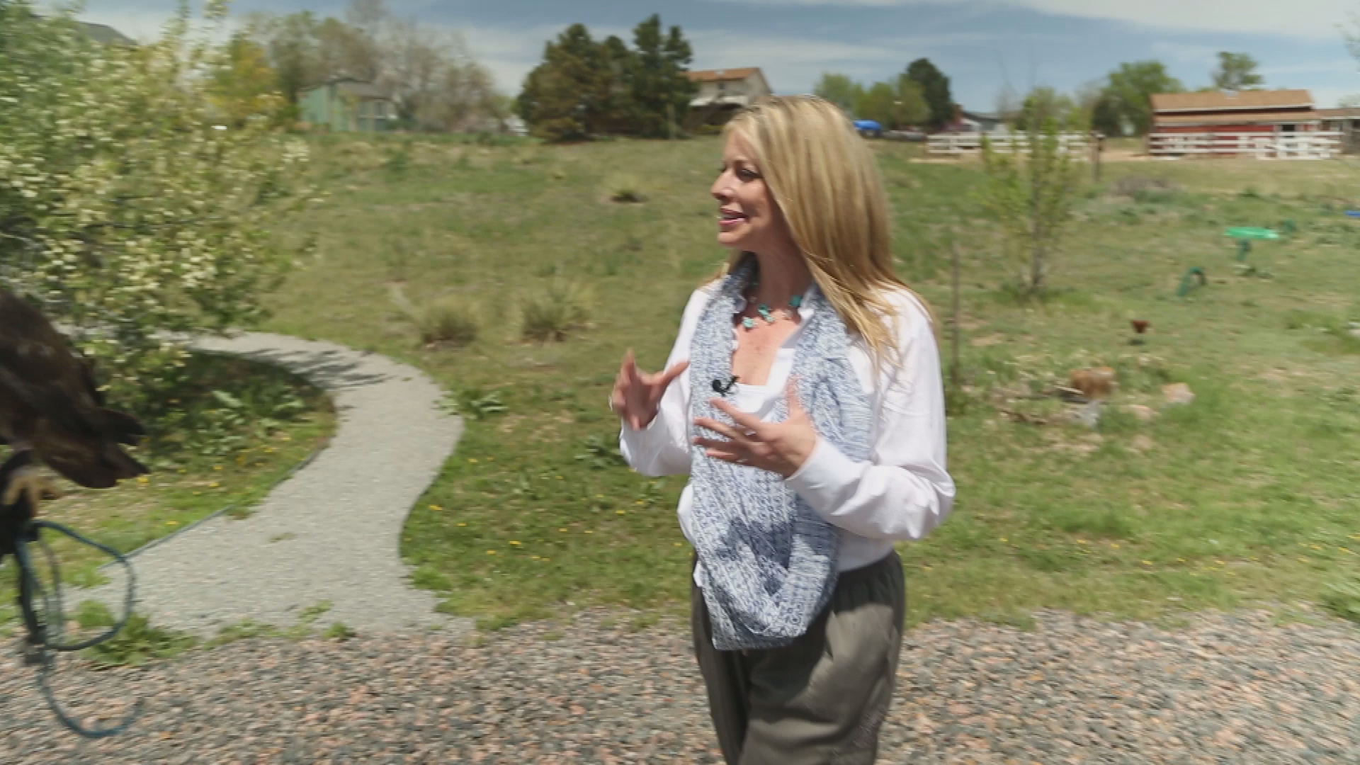 Connected Colorado-June/July 2018