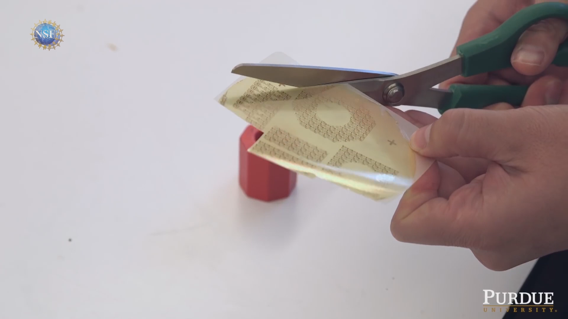 NSF Science 360 #23-Songbird's songs; mantis cam; more