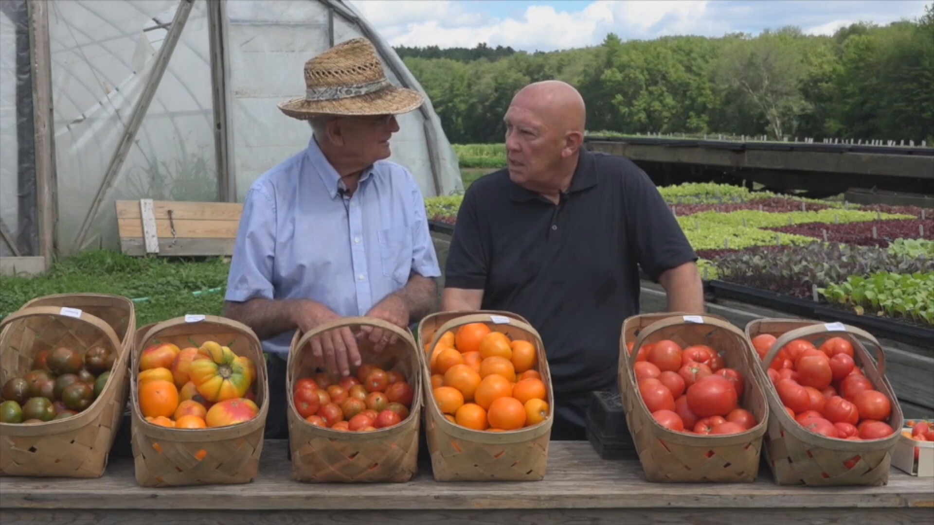 Chef's Table Series-Bang Shrimp and Mahi Mahi Demo