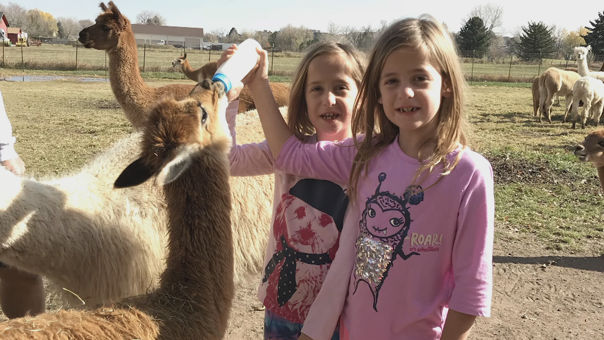 Connected Colorado-October/November 2019