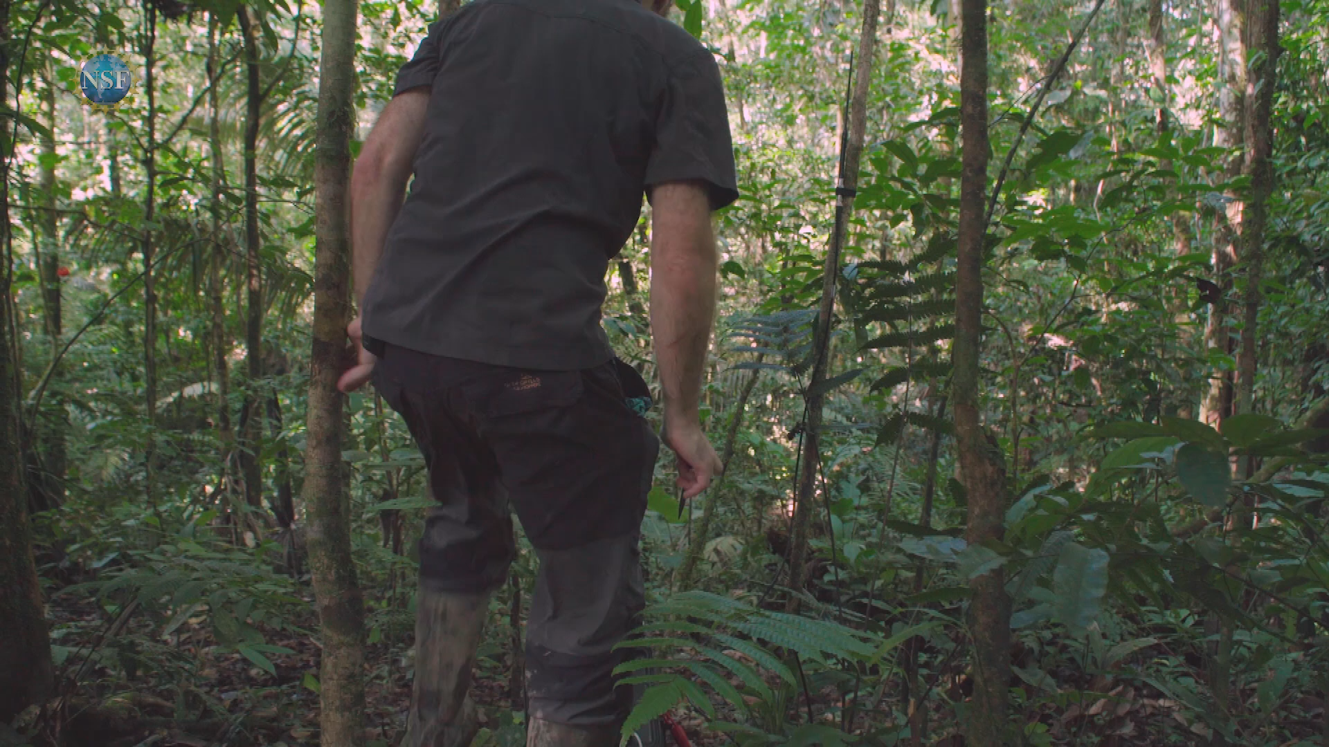 NSF Science 360 #34 (1 hr)-Wild Bees, batteries, string sounds, more!