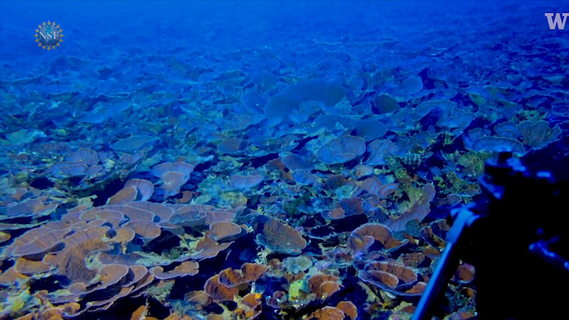 Science 360 #35 - the biology of bats, a veteran’s journey, more!