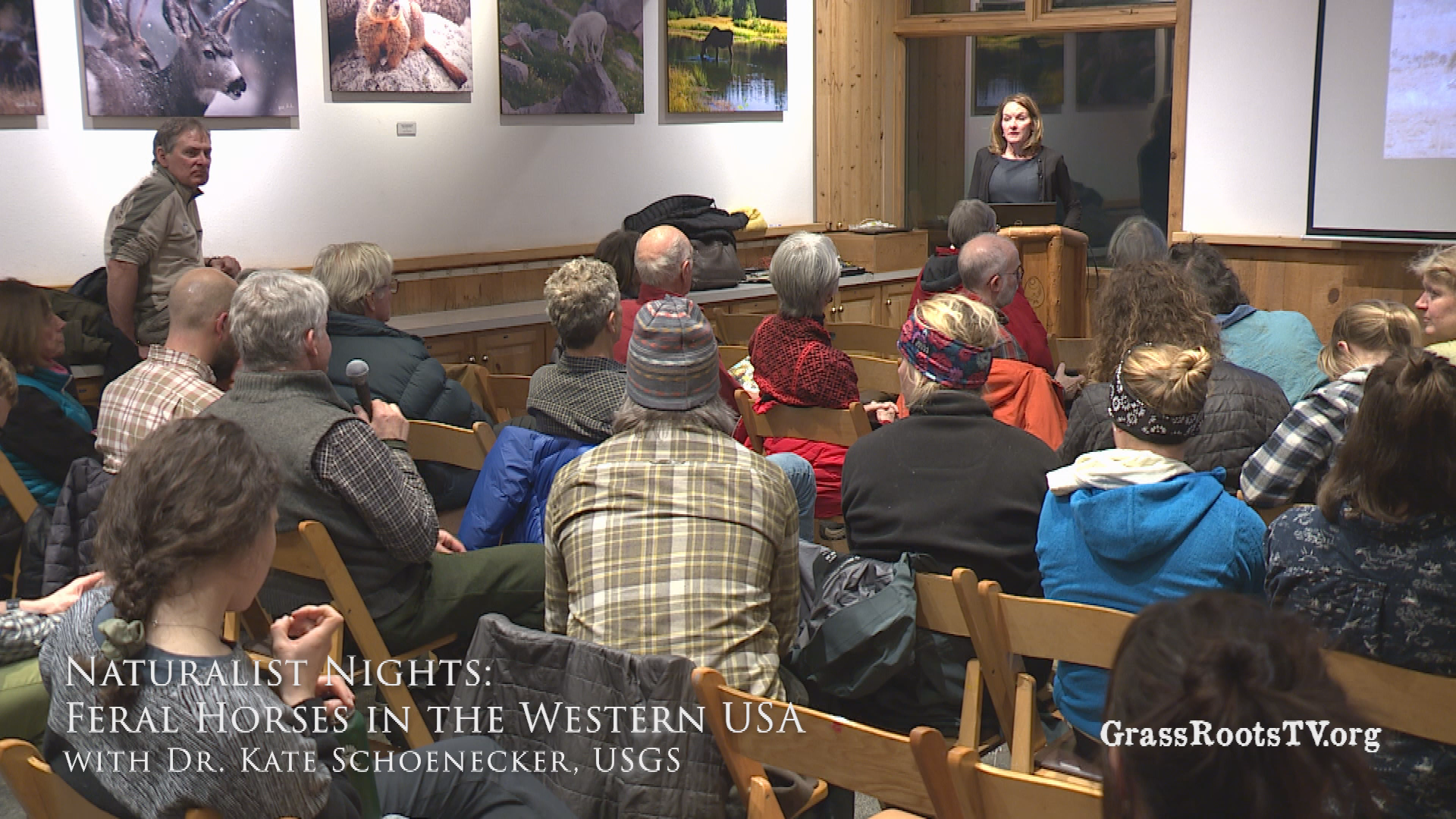 Wilderness Workshop Naturalist Nights - Feral Horses in the Western USA