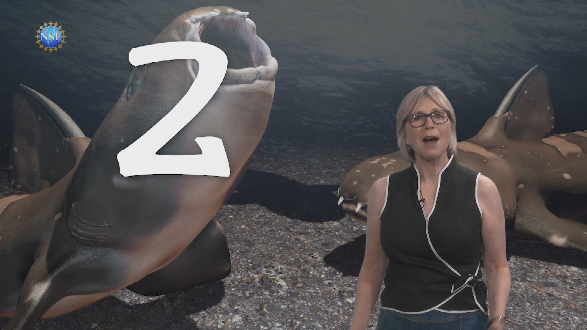 Science 360 #71-ancient shark in 3D, more!