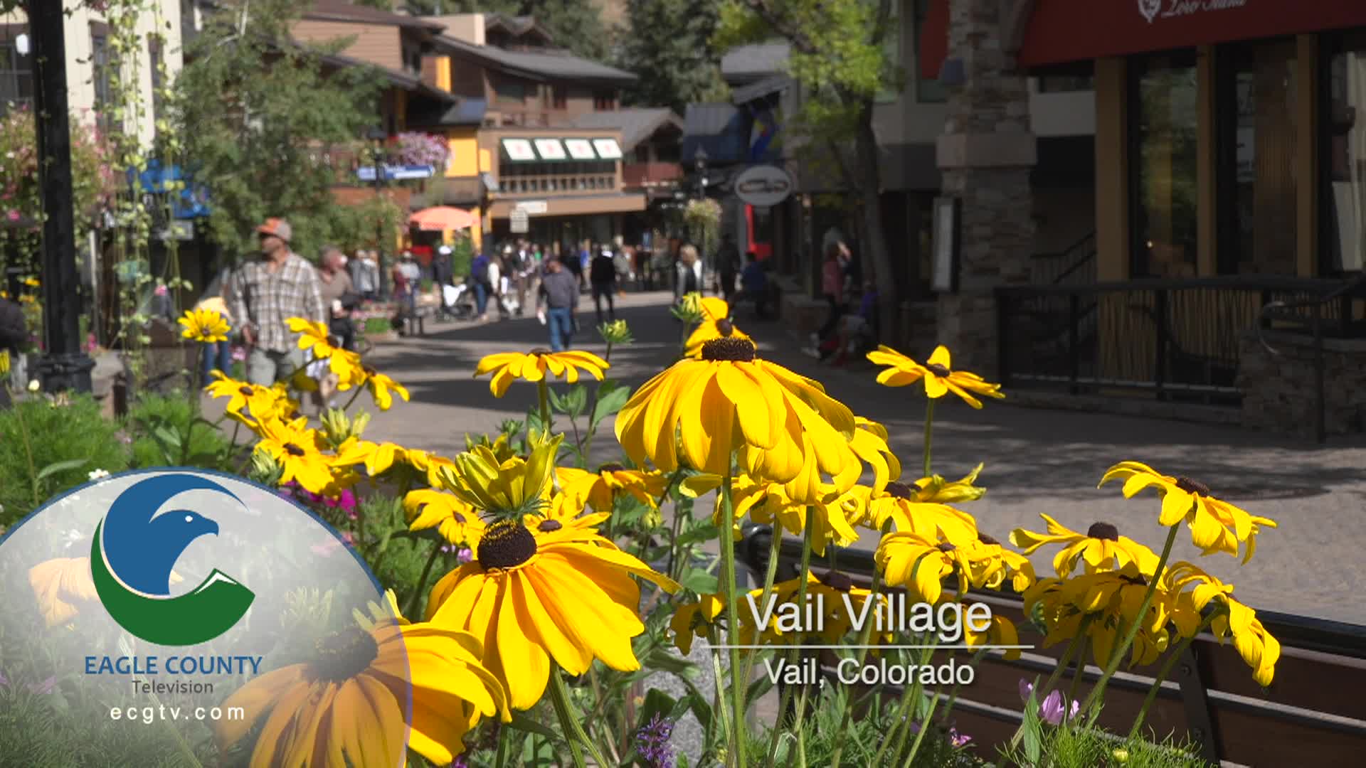 Thumbnail image for Station ID Fall Vail Bridge Street