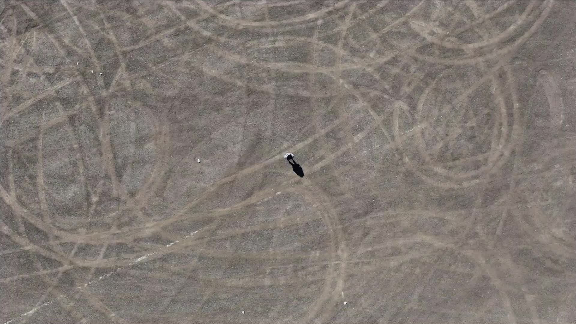 Thumbnail image for PSA Defensible Space is Beautiful SPA