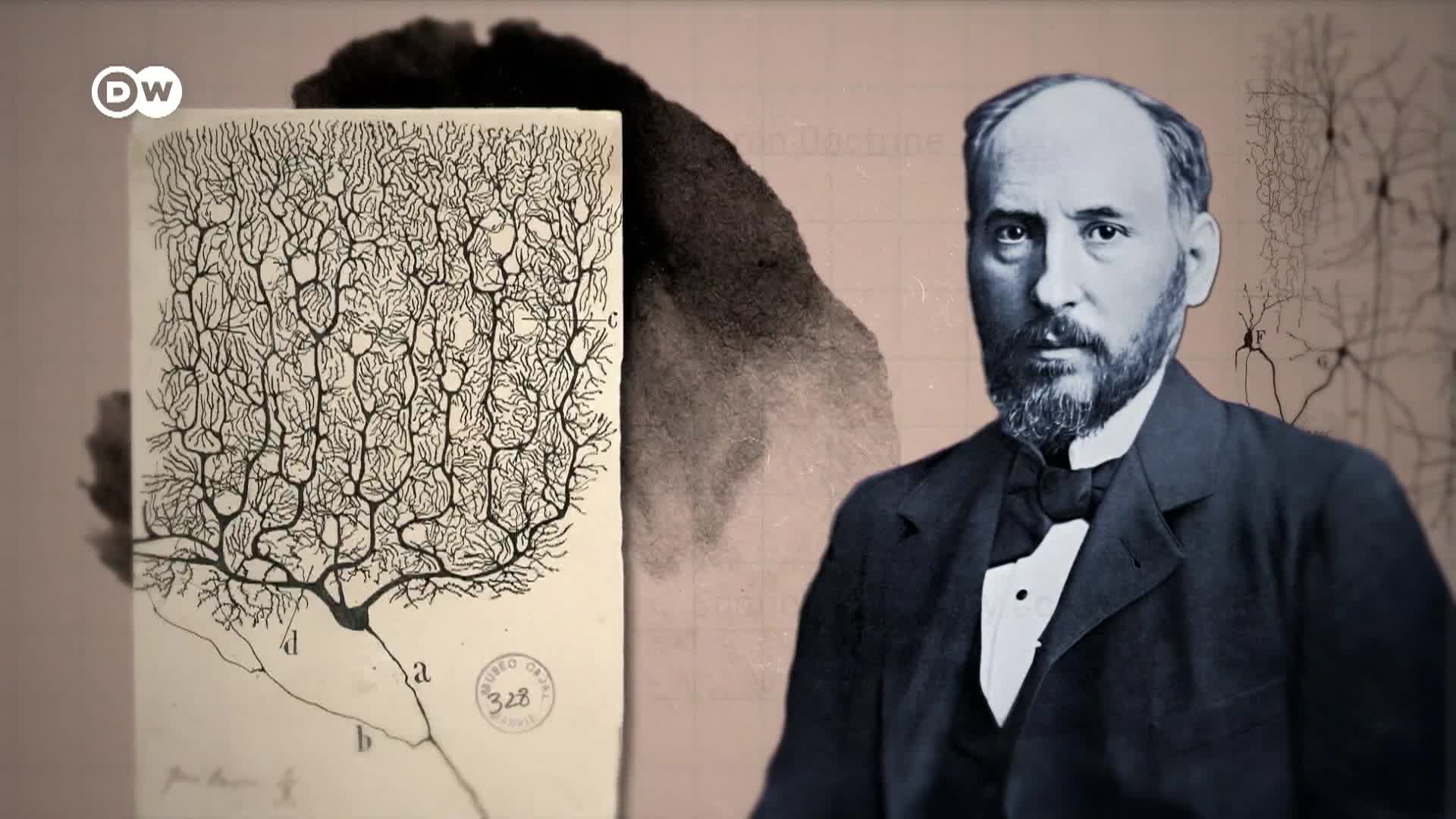 Thumbnail image for DW Tomorrow Today - The Science Magazine