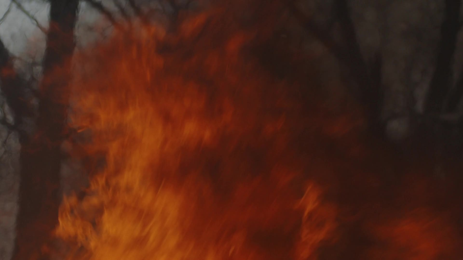 Thumbnail image for The Fish and the Flame-San Juan Cutthroat Trout and the 416 Fire (CPW)